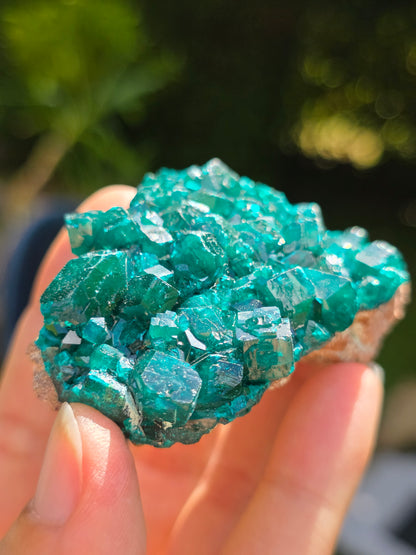 Dioptase cristallisée du Congo n°11