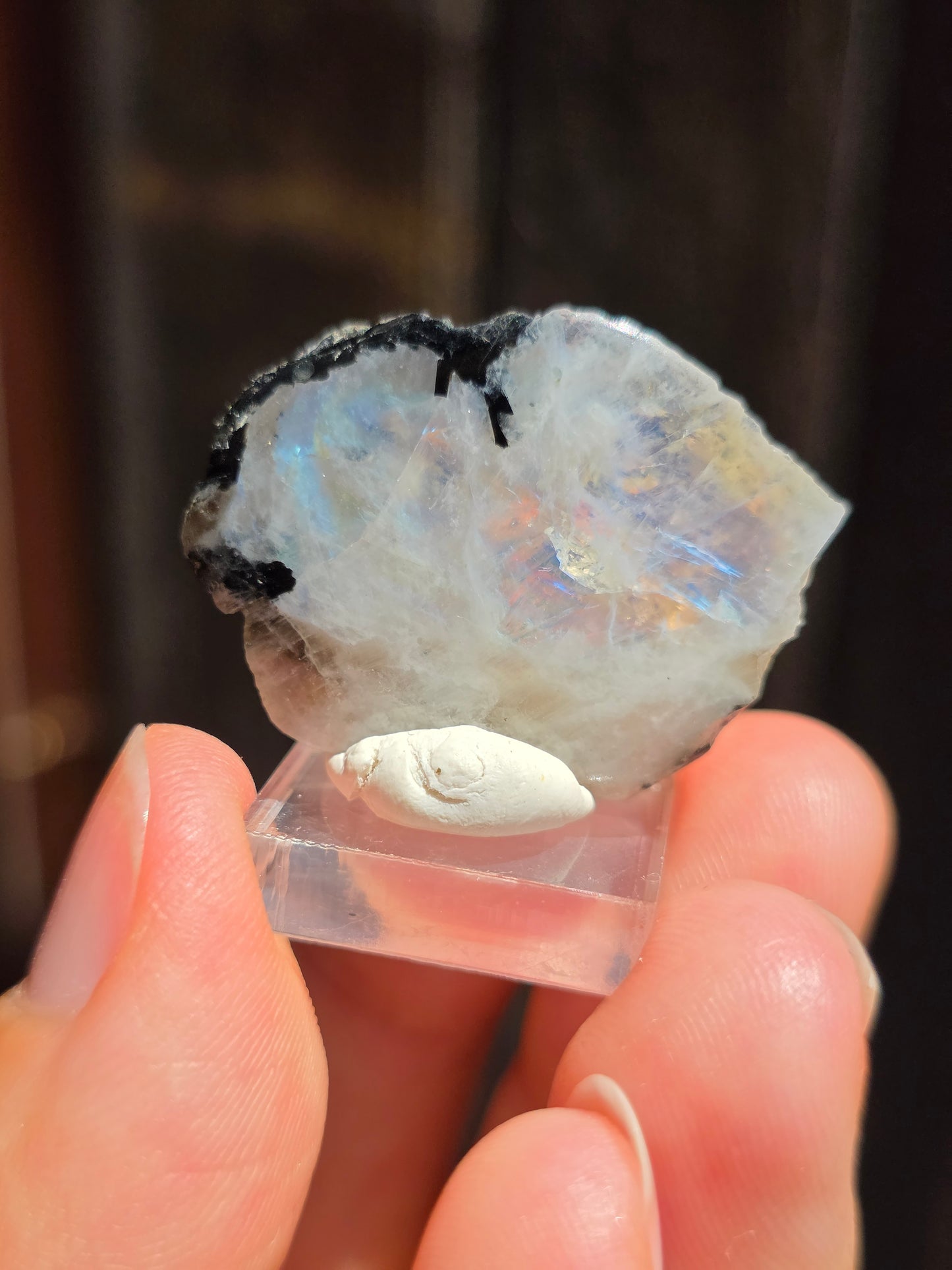Labradorite blanche n°13