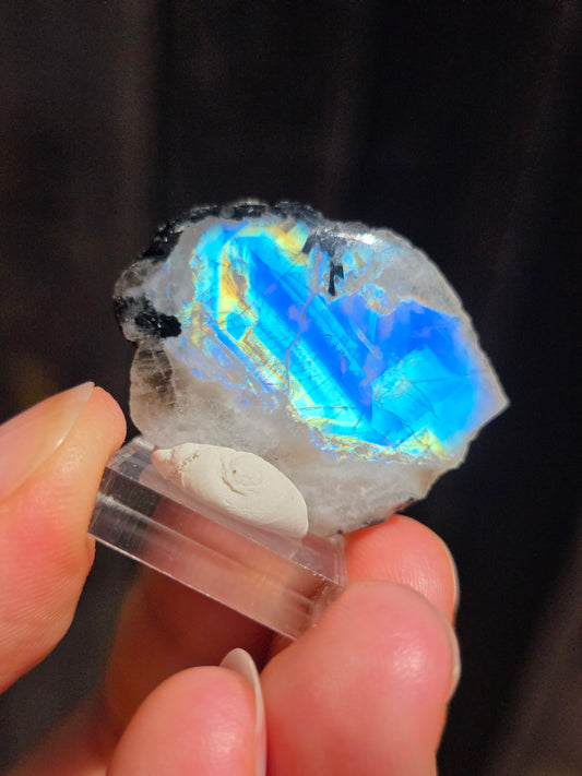 Labradorite blanche n°13