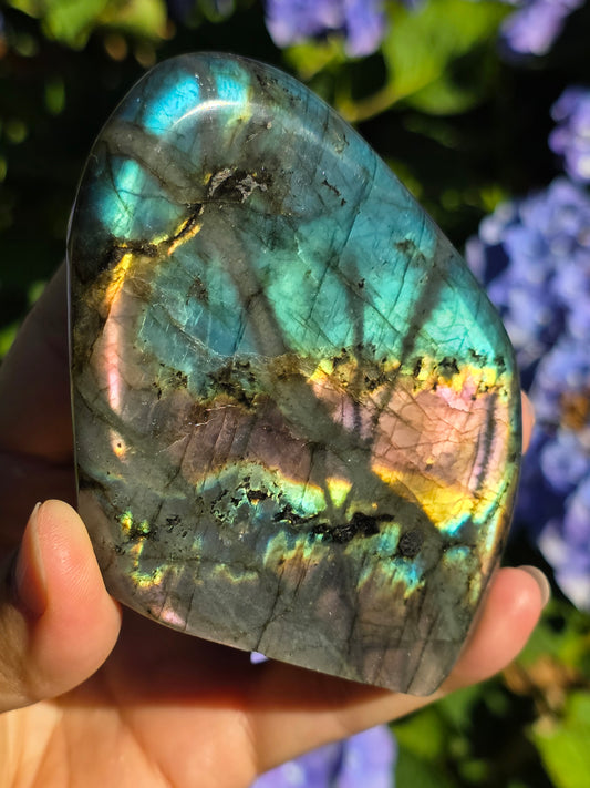 Forme libre Labradorite A