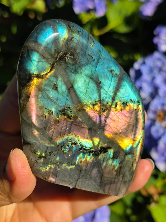 Forme libre Labradorite A