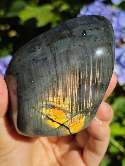 Forme libre Labradorite A