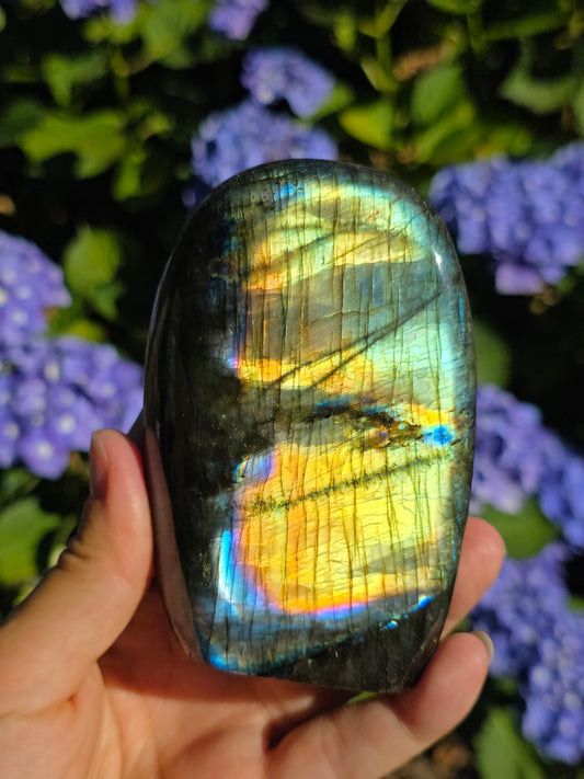 Forme libre Labradorite B