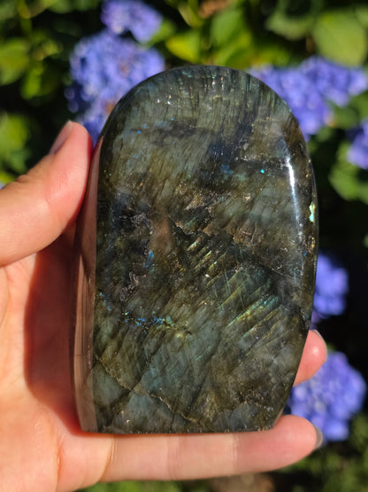 Forme libre Labradorite B