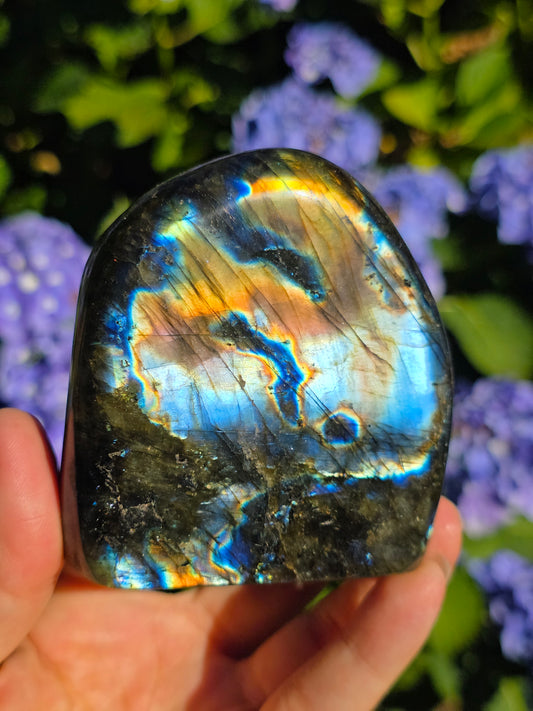 Forme libre Labradorite C