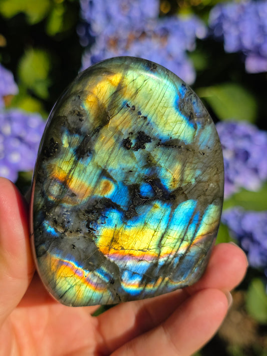 Forme libre Labradorite D