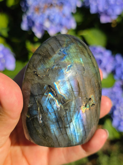 Forme libre Labradorite D