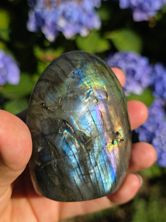 Forme libre Labradorite D