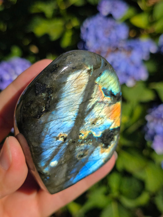 Forme libre Labradorite E