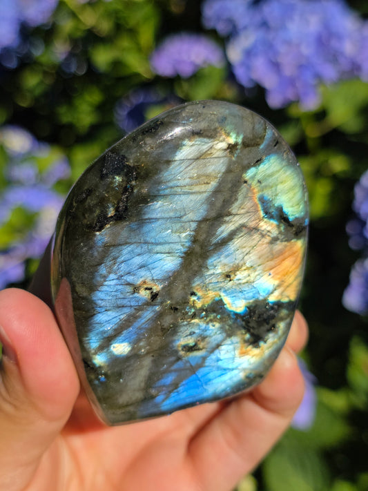 Forme libre Labradorite E