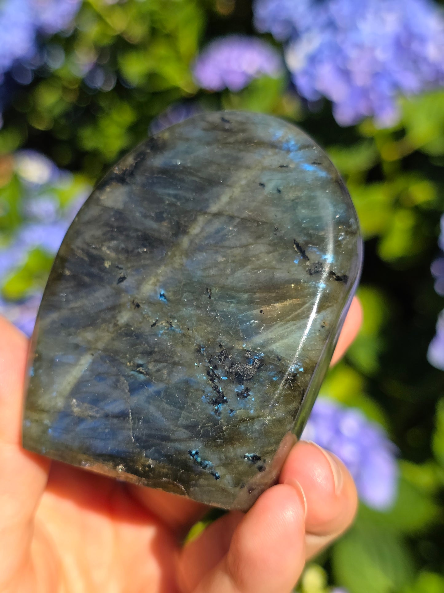 Forme libre Labradorite E