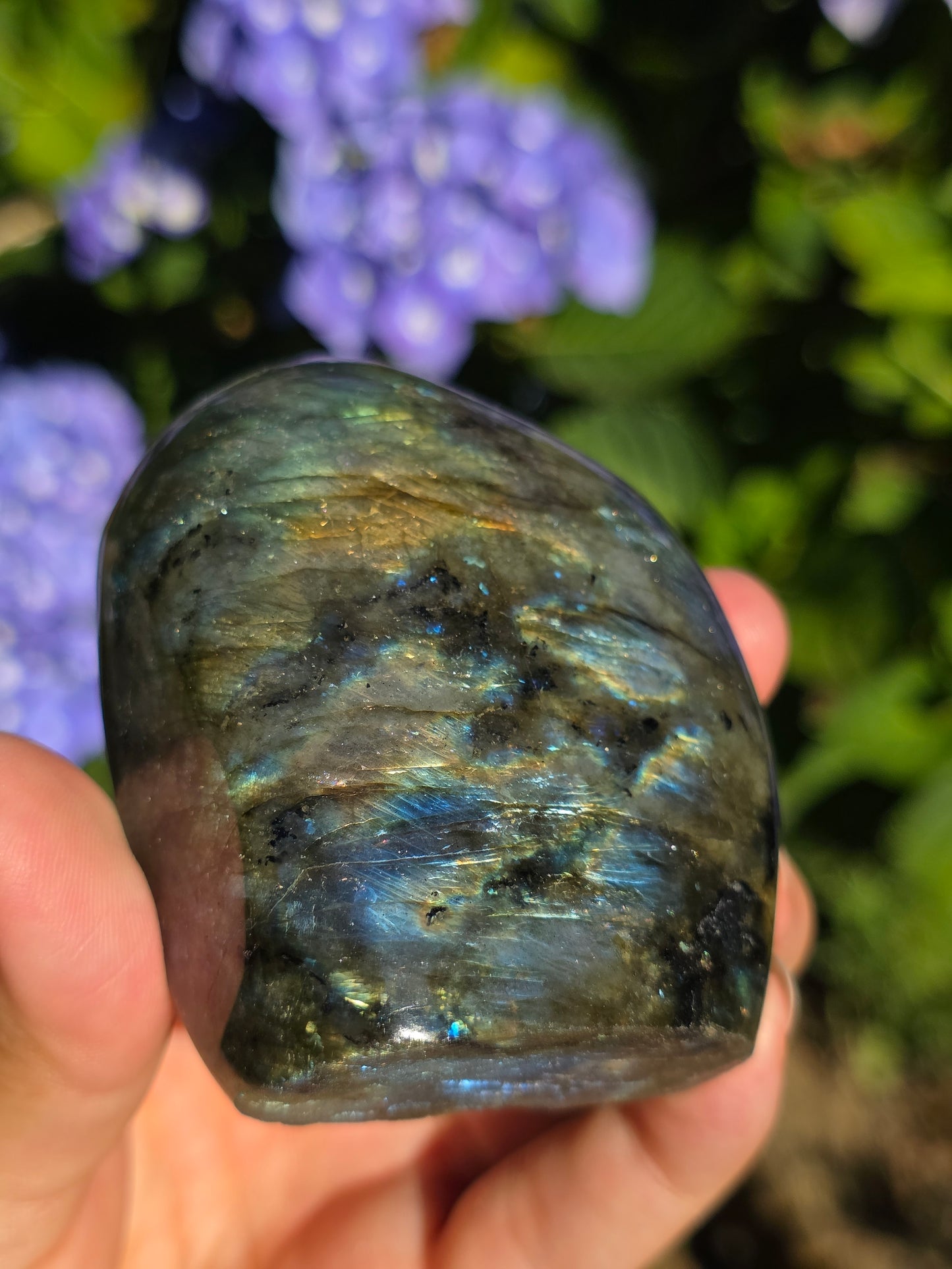Forme libre Labradorite E