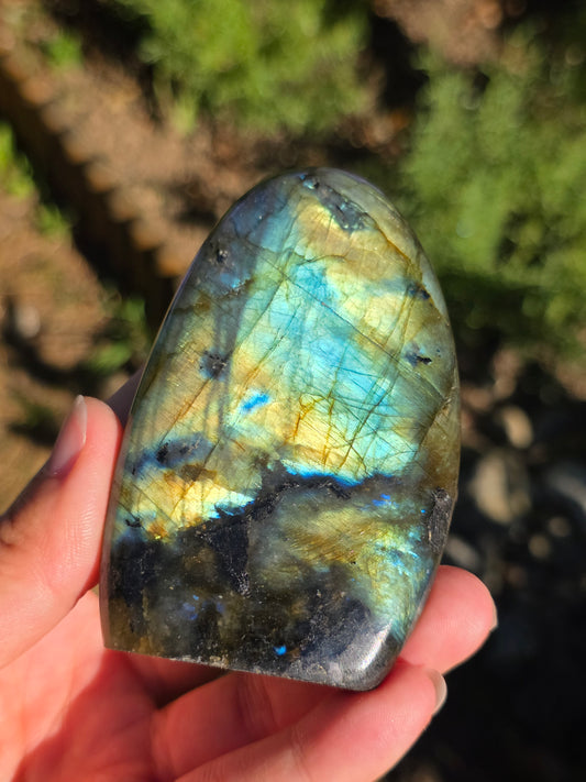 Forme libre Labradorite F
