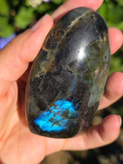 Forme libre Labradorite F