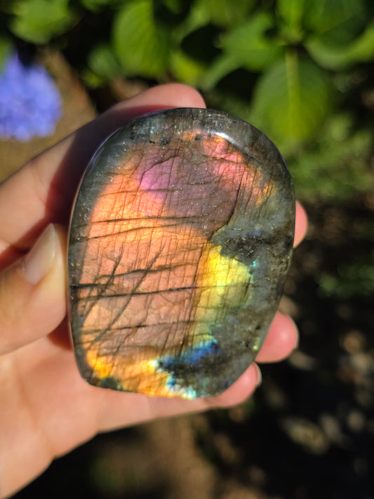 Forme libre Labradorite G