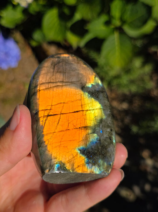Forme libre Labradorite G