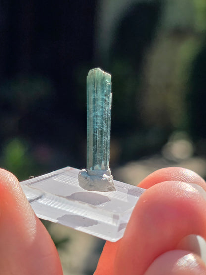 Tourmaline bleue du Brésil (à choisir)