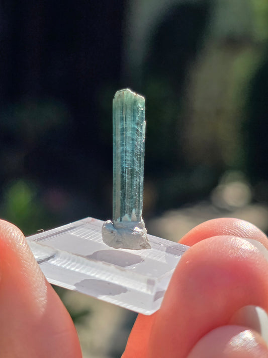 Tourmaline bleue du Brésil (à choisir)