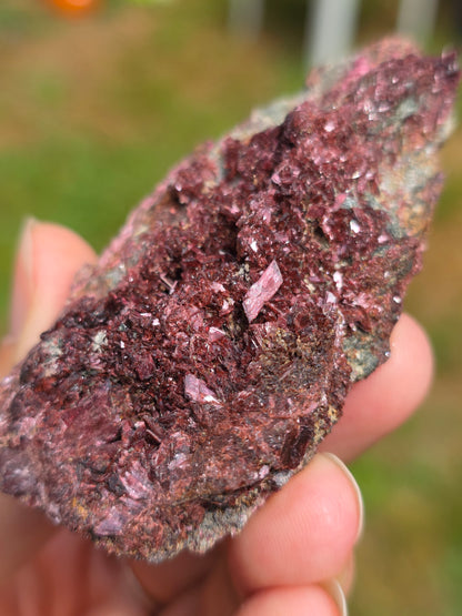 Erythrite du Maroc n°1