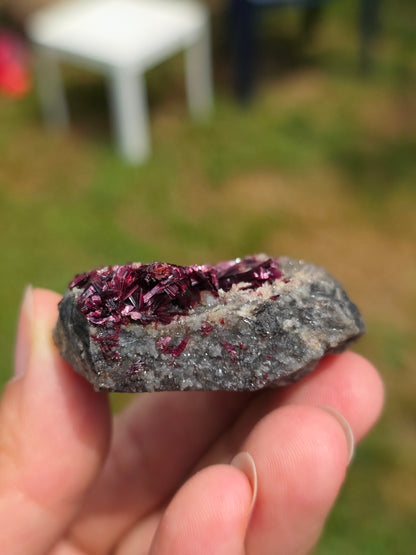 Erythrite du Maroc n°2
