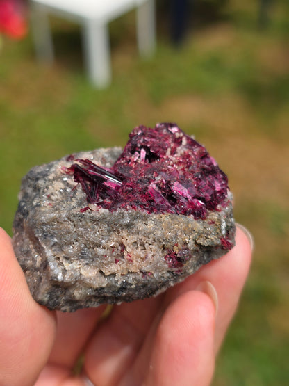 Erythrite du Maroc n°2