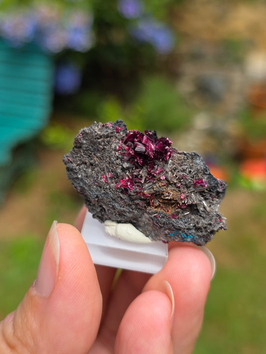 Erythrite du Maroc n°6