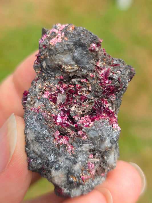 Erythrite du Maroc n°9