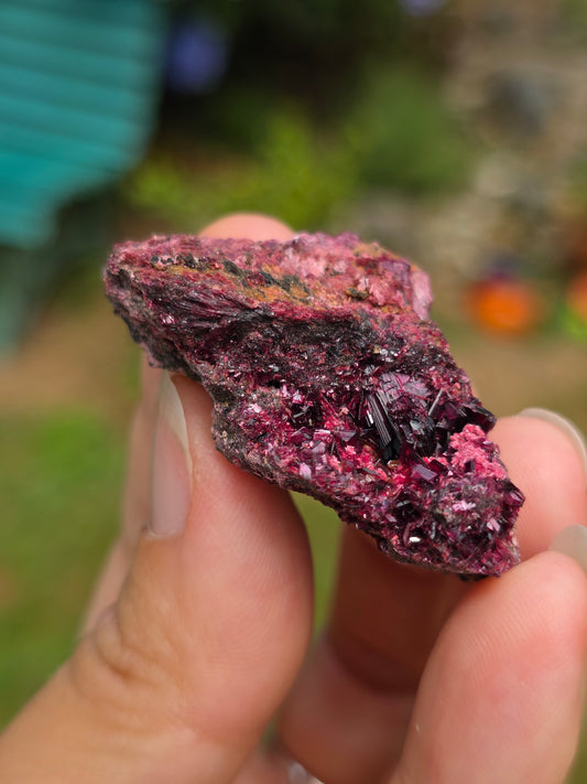 Erythrite du Maroc n°10