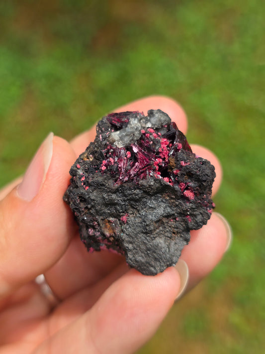 Erythrite du Maroc n°12