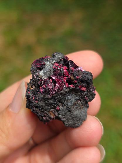 Erythrite du Maroc n°12