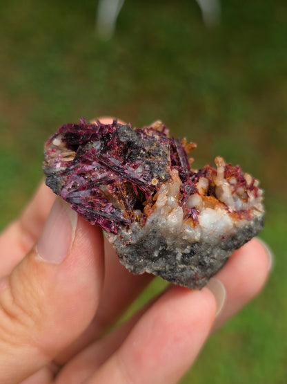 Erythrite du Maroc n°14