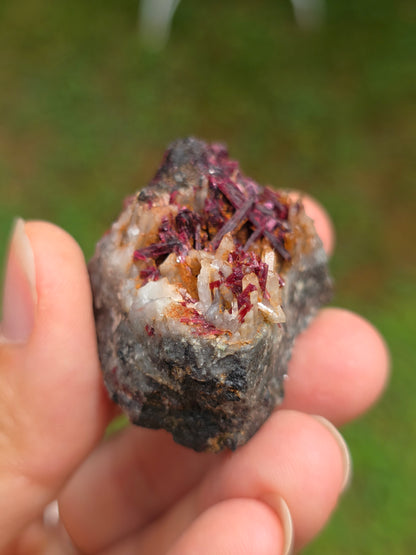 Erythrite du Maroc n°14