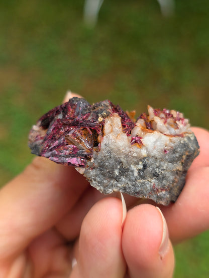 Erythrite du Maroc n°14