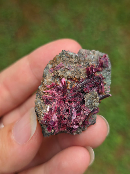 Erythrite du Maroc n°18