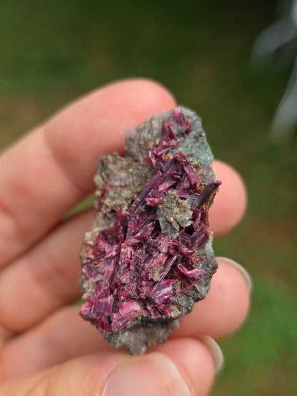 Erythrite du Maroc n°18
