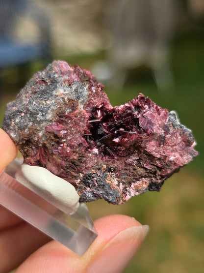 Erythrite du Maroc n°22