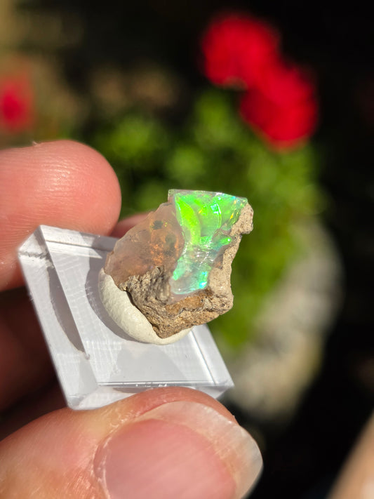 Opale noble d'Ethiopie brute partie 2 (à choisir)