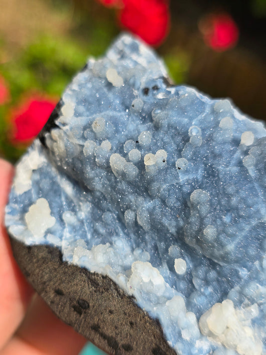 Calcédoine bleue avec Apophyllite n°13