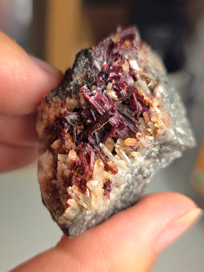 Erythrite du Maroc n°14
