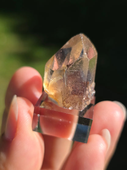 Quartz Sunset (fantômes d'Hématite) n°5