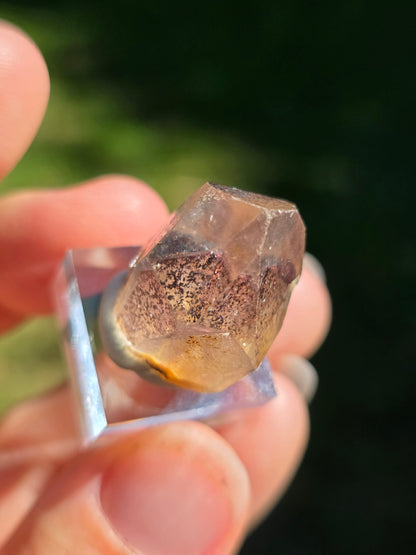 Quartz Sunset (fantômes d'Hématite) n°5