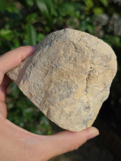Calcédoine du Poitou n°1