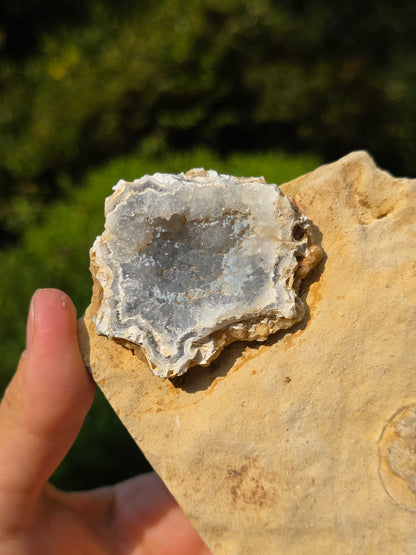 Calcédoine du Poitou n°3