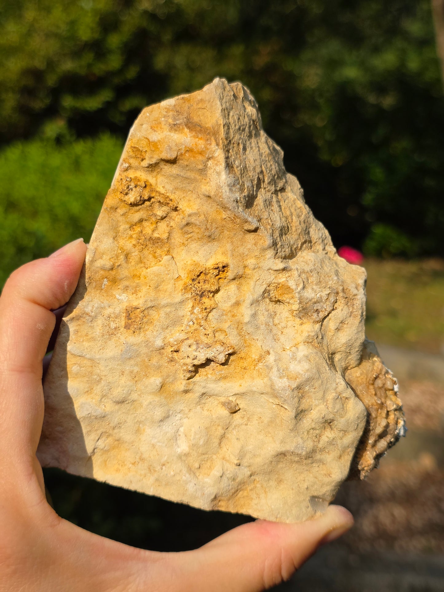 Calcédoine du Poitou n°3