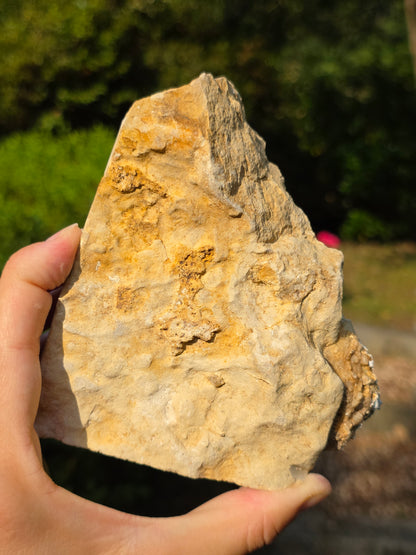 Calcédoine du Poitou n°3