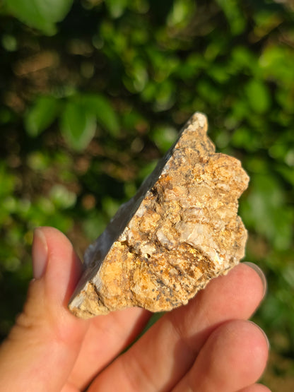 Calcédoine du Poitou n°5