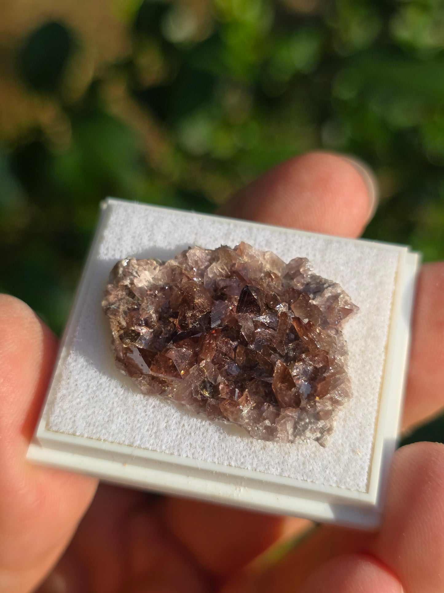 Axinite de Barèges (65)