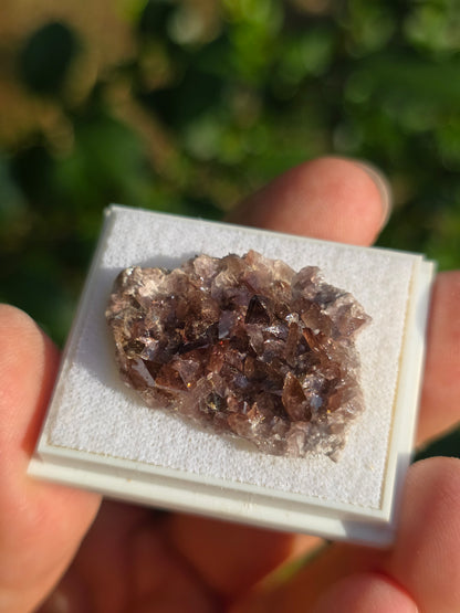 Axinite de Barèges (65)
