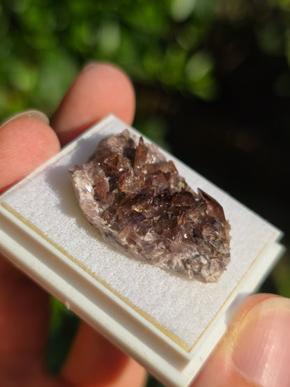 Axinite de Barèges (65)