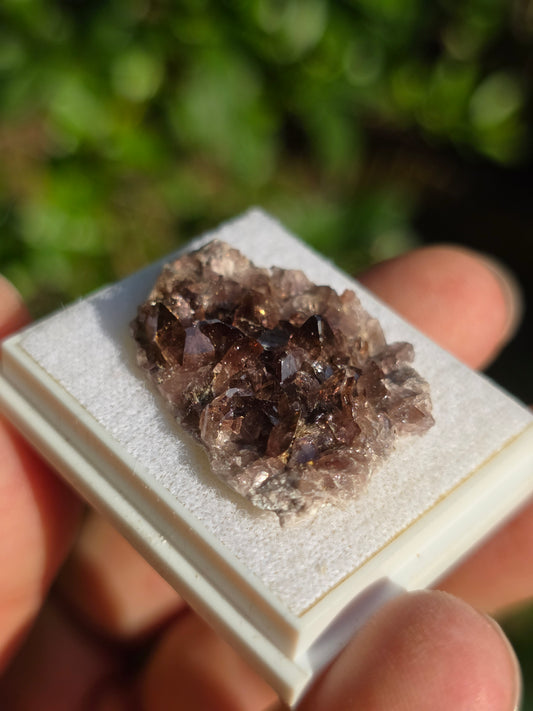 Axinite de Barèges (65)